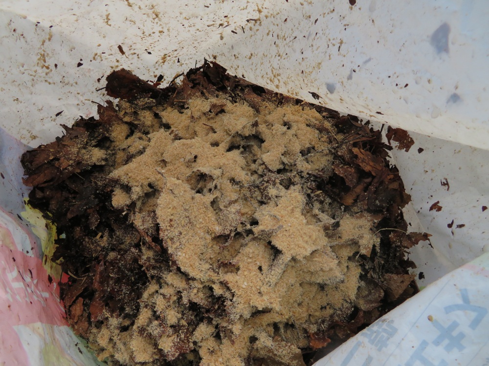 腐葉土作り方ビニール袋使用 落ち葉と米ぬか