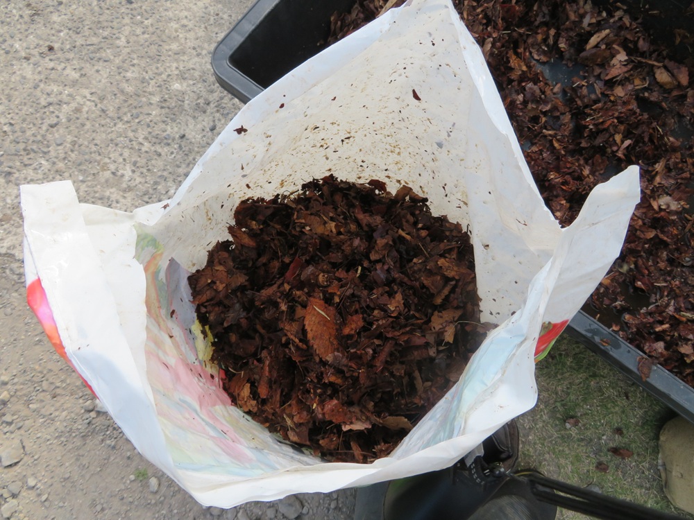 腐葉土作り方ビニール袋使用 落ち葉の入ったビニール袋
