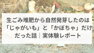 生ごみ堆肥から自然発芽したのは_じゃがいも_と_かぼちゃ_だけだった話_実体験レポート
