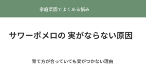 サワーポメロの実がならない原因と育て方のポイント