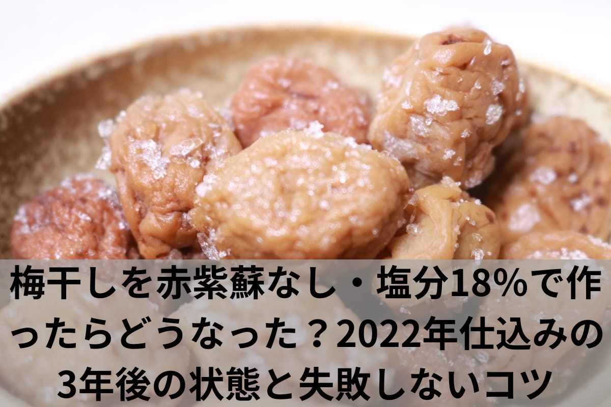 梅干しを赤紫蘇なし・塩分18%で作ったらどうなった?2022年仕込みの3年後の状態と失敗しないコツ