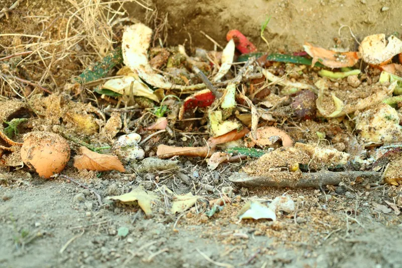 畑に生ごみを投入した様子