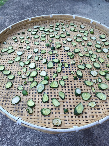 天日干し野菜　きゅうり