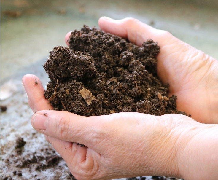 畑の土を両手に持っているところ