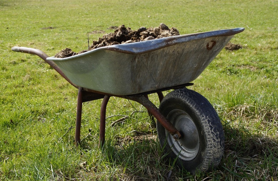 柑橘肥料おすすめ