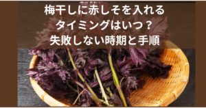 梅干しに赤しそを入れるタイミングはいつ？失敗しない時期と手順