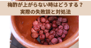 梅酢が上がらない時はどうする？実際の失敗談と対処法