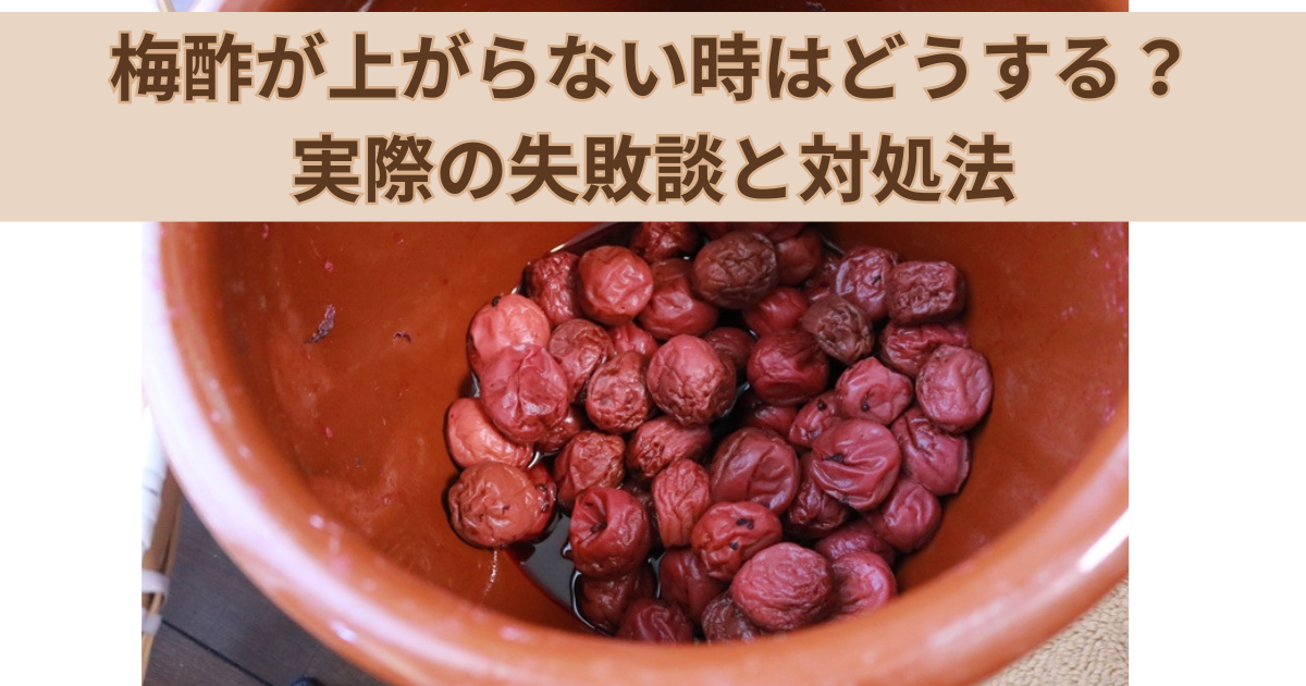 梅酢が上がらない時はどうする？実際の失敗談と対処法